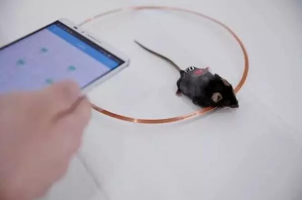 中国科学家用App和LED灯控制胰岛素的分泌
